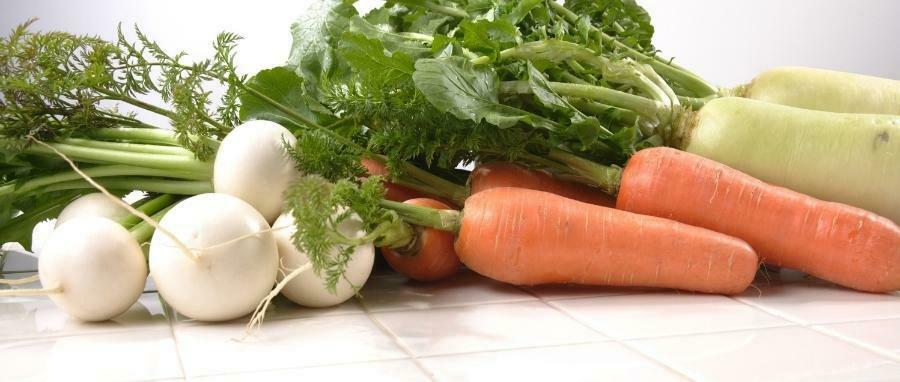 野菜　保存　方法